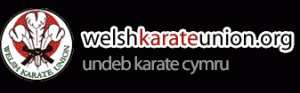 Welsh karate union logo